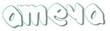 engineers india