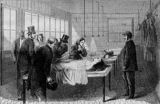 bellevue hospital centre