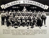 Calgary Stampeders (ice hockey)