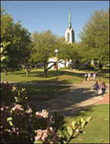 texas am university
