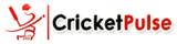 indian premier league 