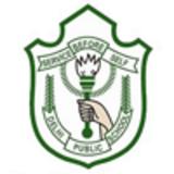 DPS Mathura Road