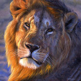 singh lion