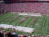 university of alabama