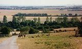 lympne