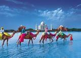 gwaliorhelp.com