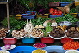 yunnan