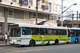 Shanghai Bus