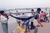 fisherman