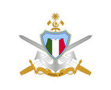 maldives national defence force
