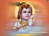 dinesh