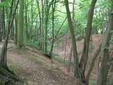hertfordshire
