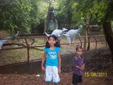 Photo Album of Kartik