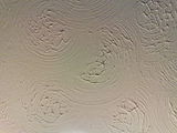 Artex