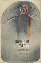Hawksbill Station