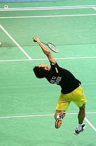 lee chong wei