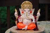 gopal shree ganesh agency