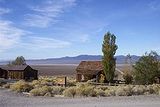 Environment of Nevada