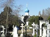 Russian diaspora