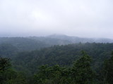 Environment conservation