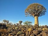 Keetmanshoop