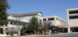 texas am university