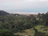 waddell