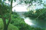 koyna dam