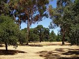 stanford university