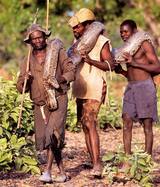 Food Gathering in Africa