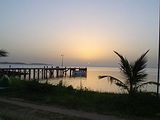 palm island