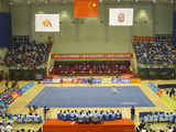 wushu