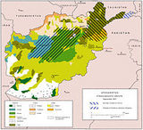 pashtuns