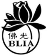 international association of
