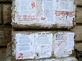 Pasquino