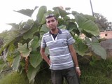 vivek verma