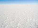 antarctic