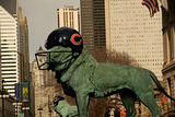 chicago bears