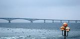 saratov