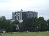 royal free hospital