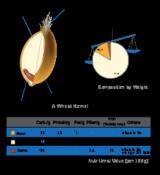 whole grains