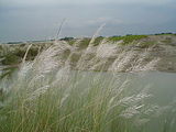 kurigram