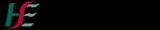 health service executive