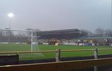 sutton united