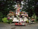 Patronage of the Blessed Virgin Mary
