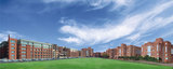 AMITY UNIVERSITY