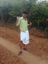 tamil