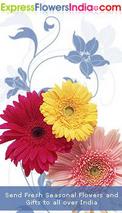 expressflowersindia