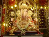 Amcha pune