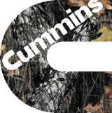 cummins stars
